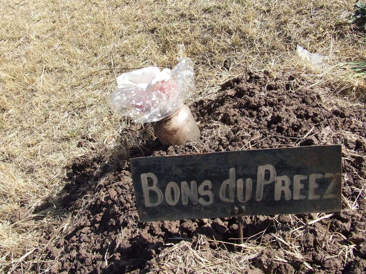 PREEZ Bons, du