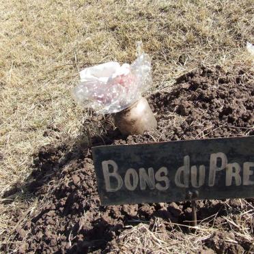 PREEZ Bons, du