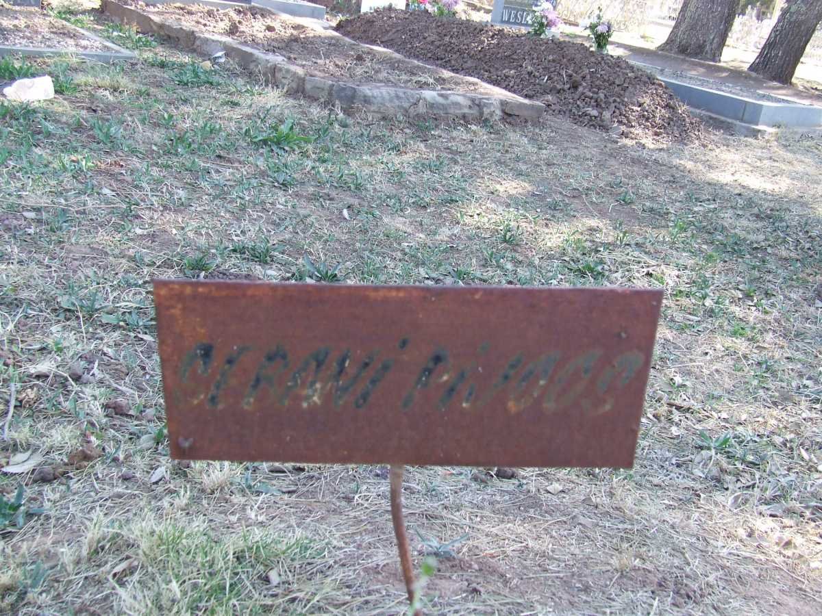 PIJOOS Cerani