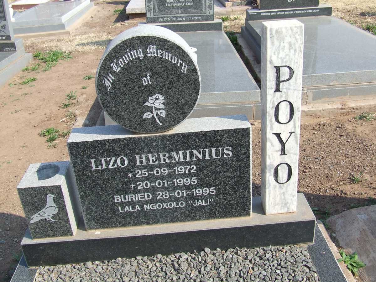 POYO Lizo Herminius 1972-1995
