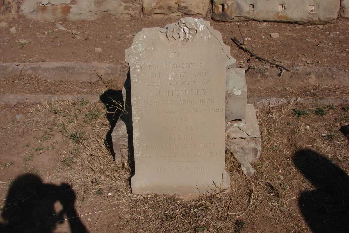 RADLEY P.J. 1856-1899
