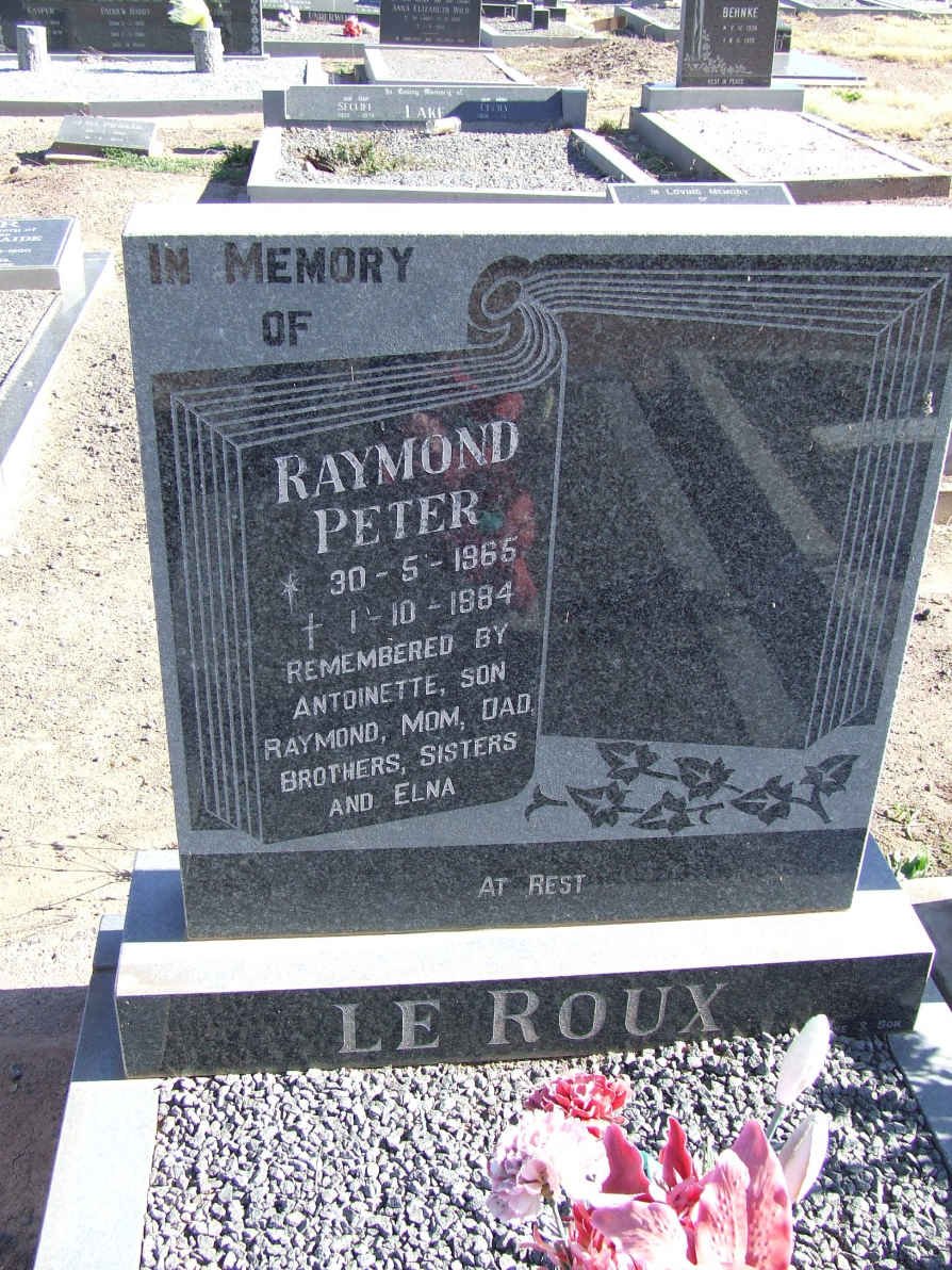 ROUX Raymond Peter, le 1965-1984