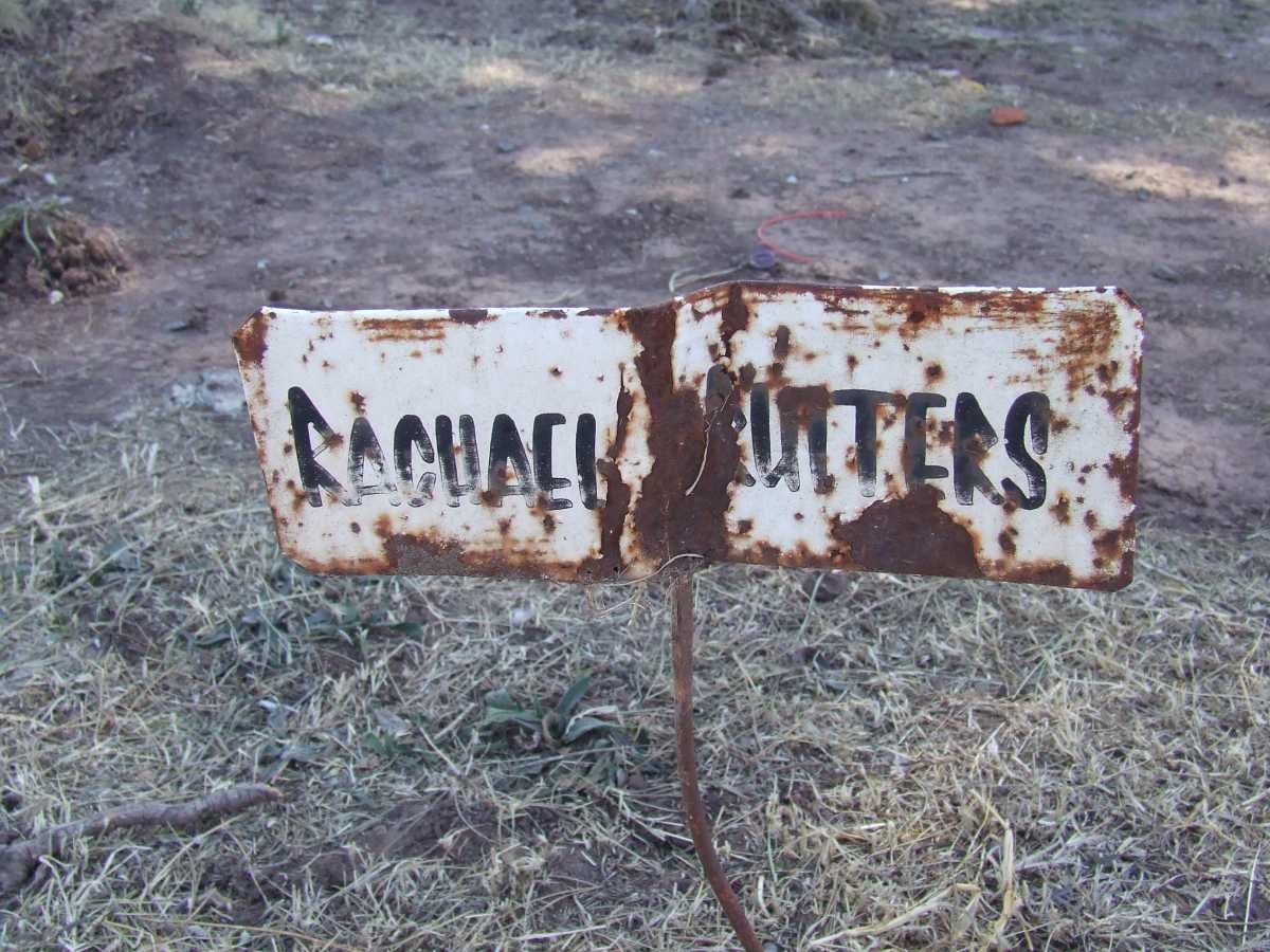RUITERS Rachael