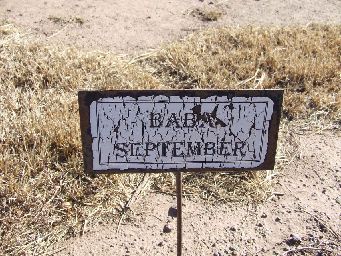 SEPTEMBER Baba