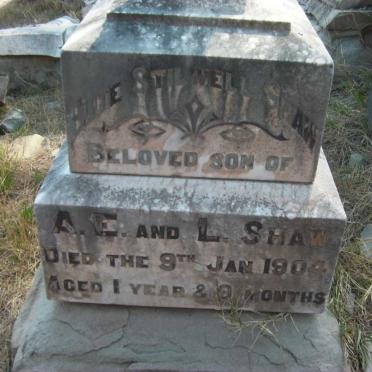 SHAW Elouie Stilwell 1903-1904