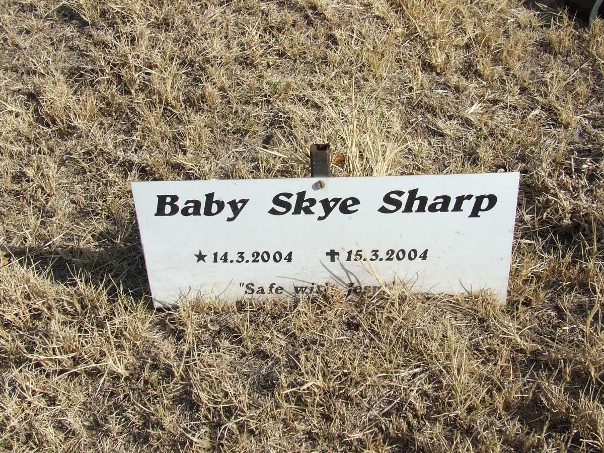 SHARP Skye 2004-2004