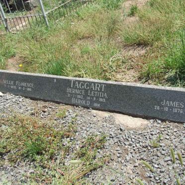 TAGGART