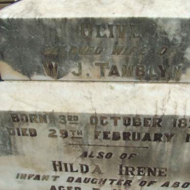 TAMBLYN Olive 1875-1916 :: TAMBLYN Hilda Irene