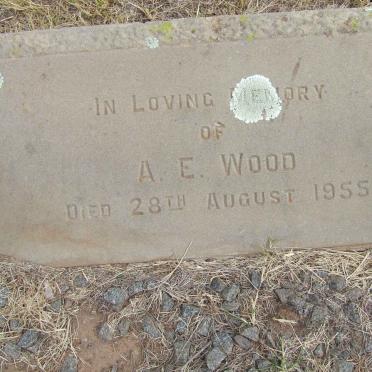 WOOD A.E. -1955