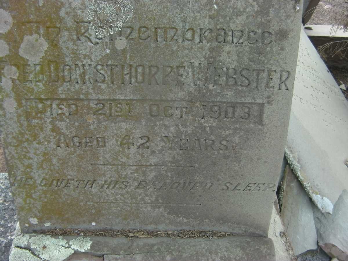 WEBSTER Fred Donisthorpe 1861-1903
