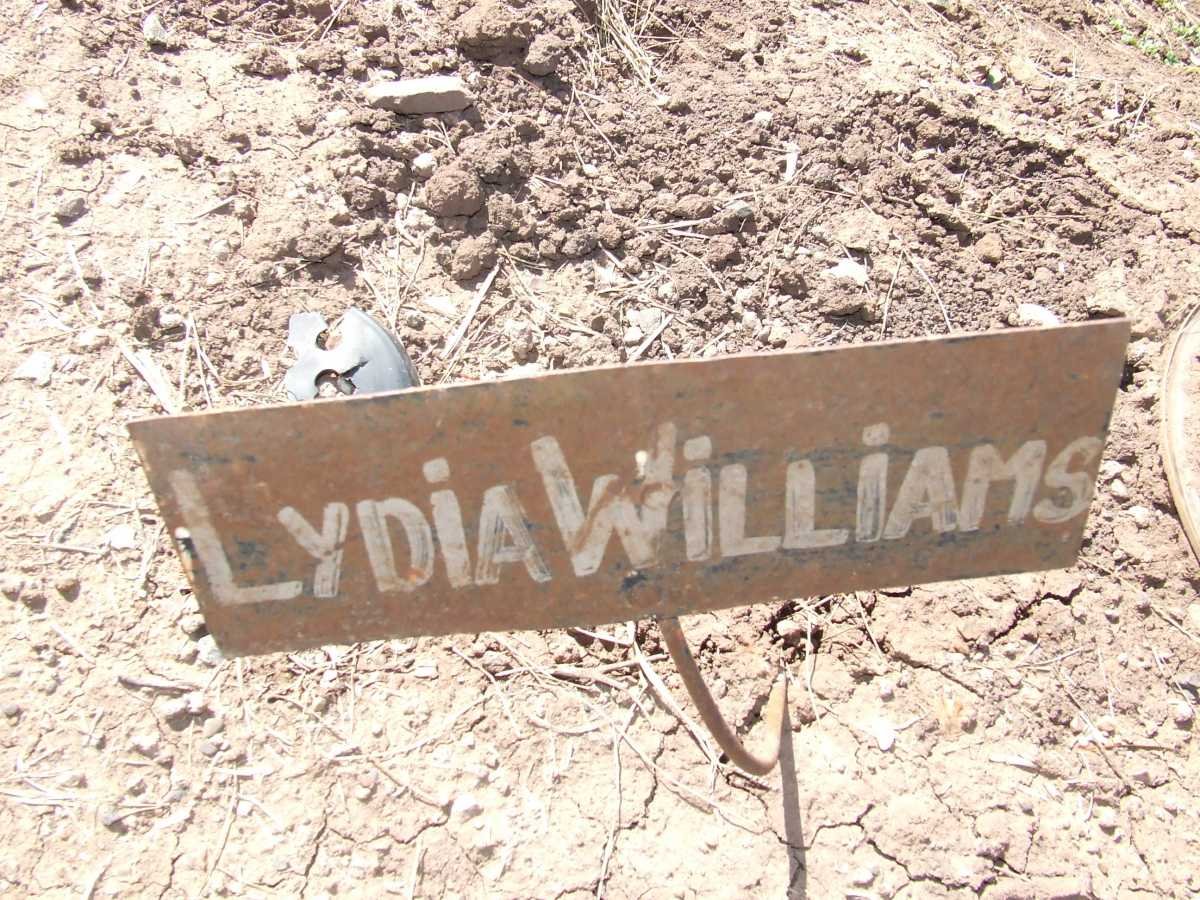 WILLIAMS Lydia