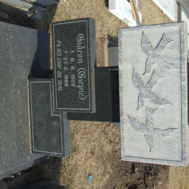 ZYL Gideon, van 1929-1989