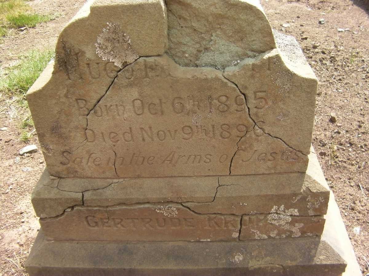 ? Hugo H? 1895-1896