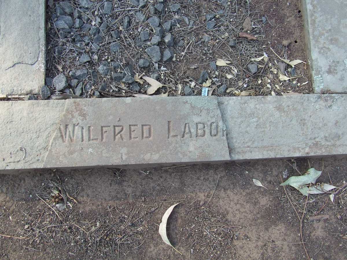 ? LABO?? Wilfred