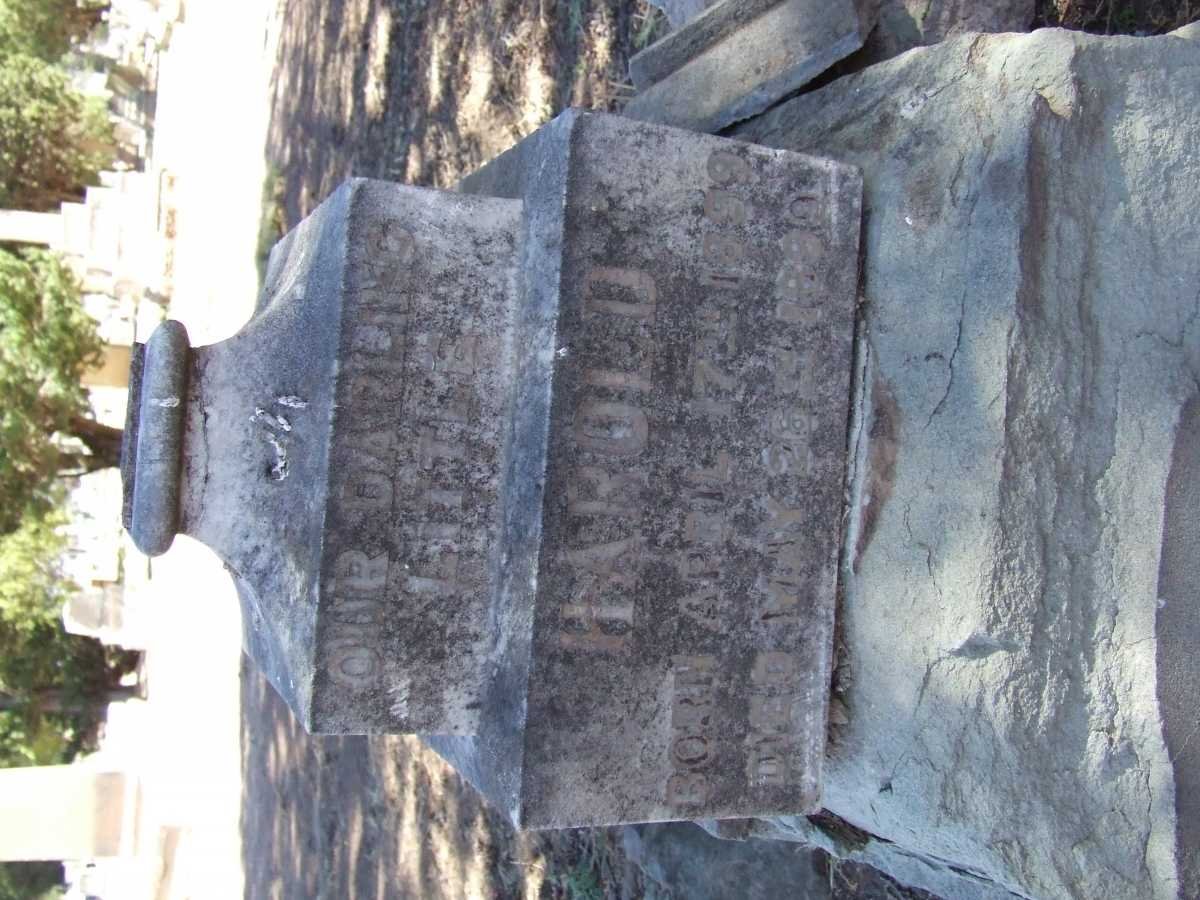 ? Harold 1899-1899