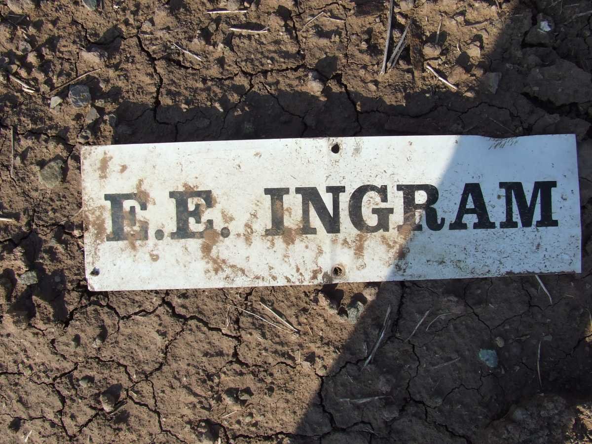 INGRAM E.E.