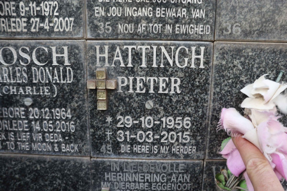 HATTINGH Pieter 1956-2015