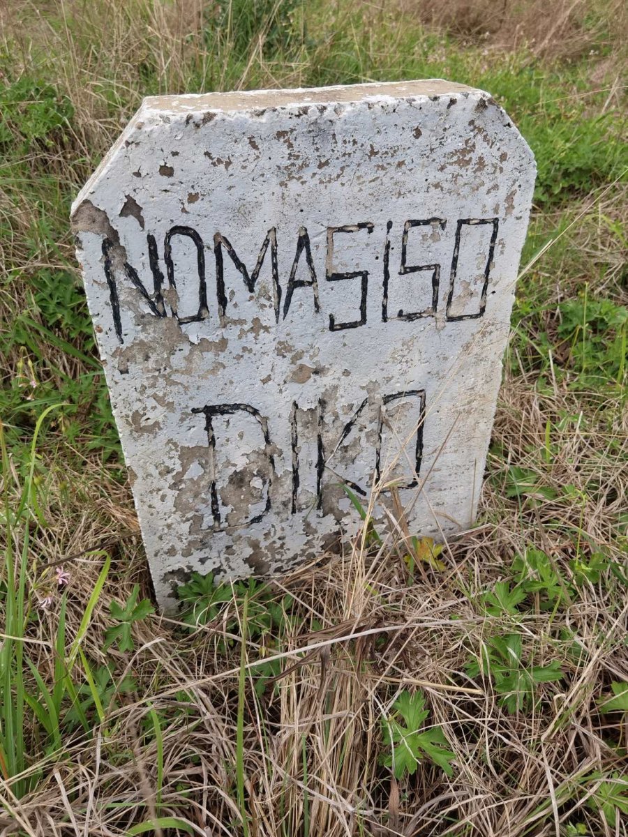 DIKO Nomasiso