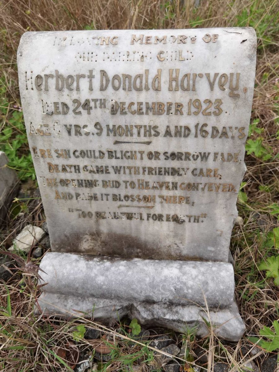 HARVEY Herbert Donald -1923