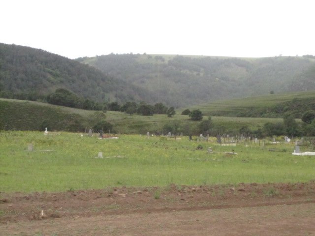 1. Overview