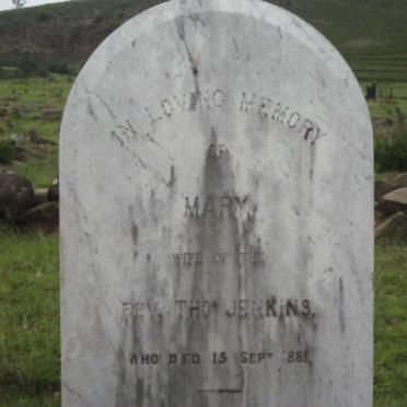 JENKINS Thomas -1868 & Mary -1881 _3