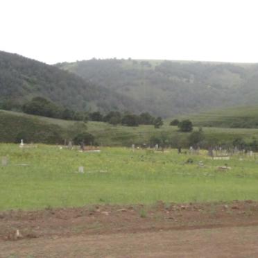 1. Overview