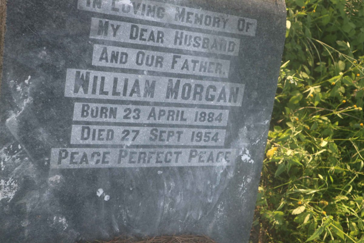 MORGAN William 1884-1954