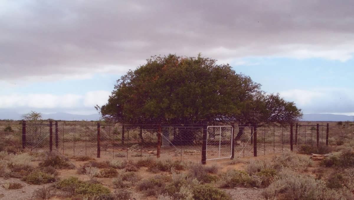 4. Entrance to the cemetery