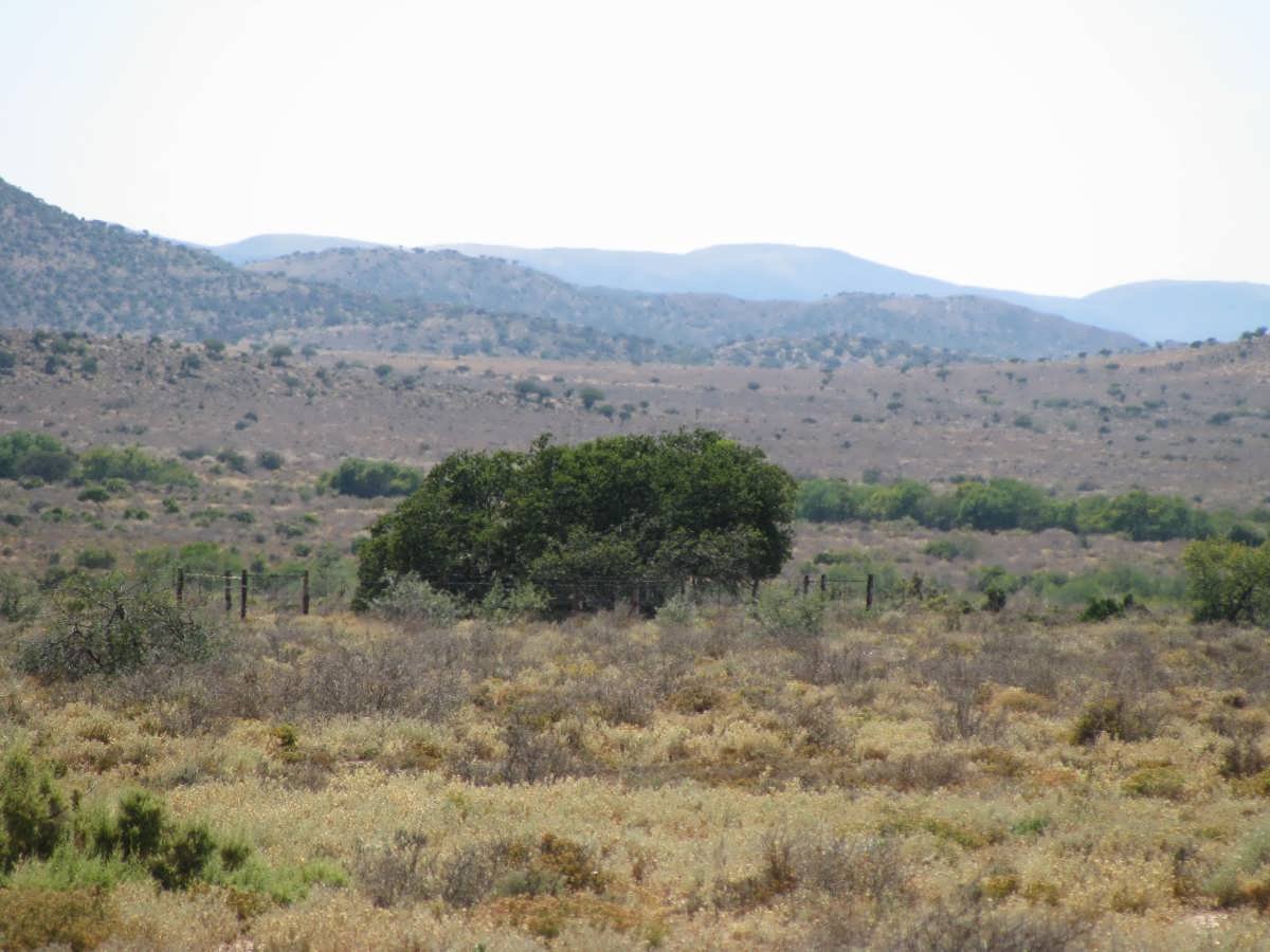 3. Overview on the cemetery