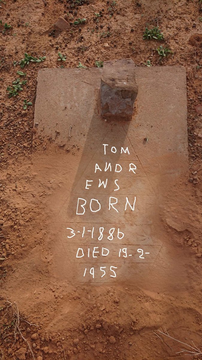 ANDREWS Tom 1886-1955