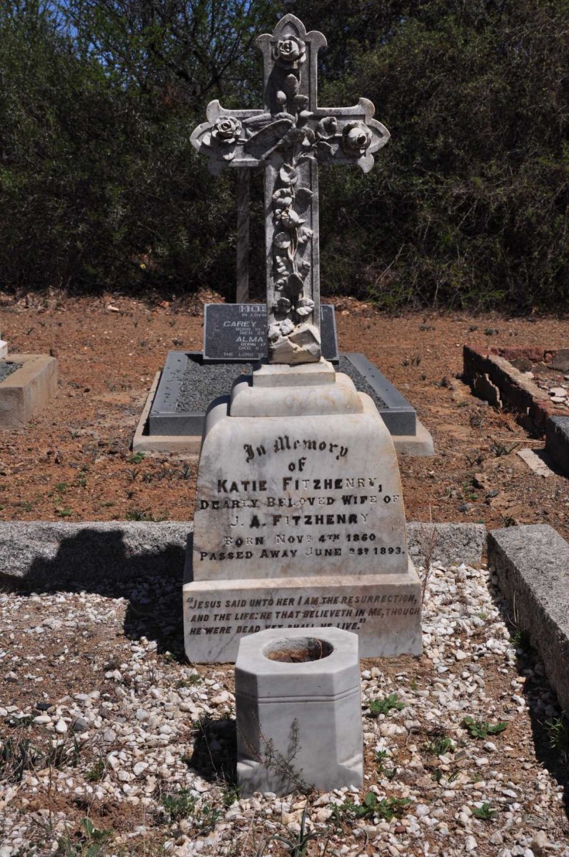FITZHENRY Katie 1860-1893