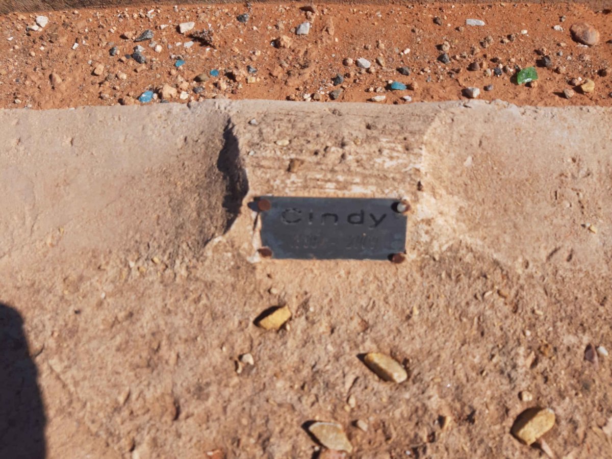 ? Cindy 199?-200?