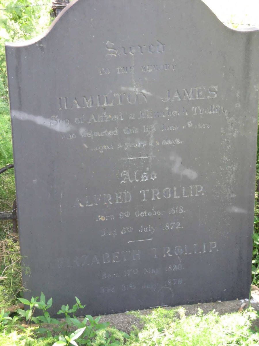 TROLLIP Alfred 1818-1872 &amp; Elizabeth 1820-1879 :: TROLLIP Hamilton -1852
