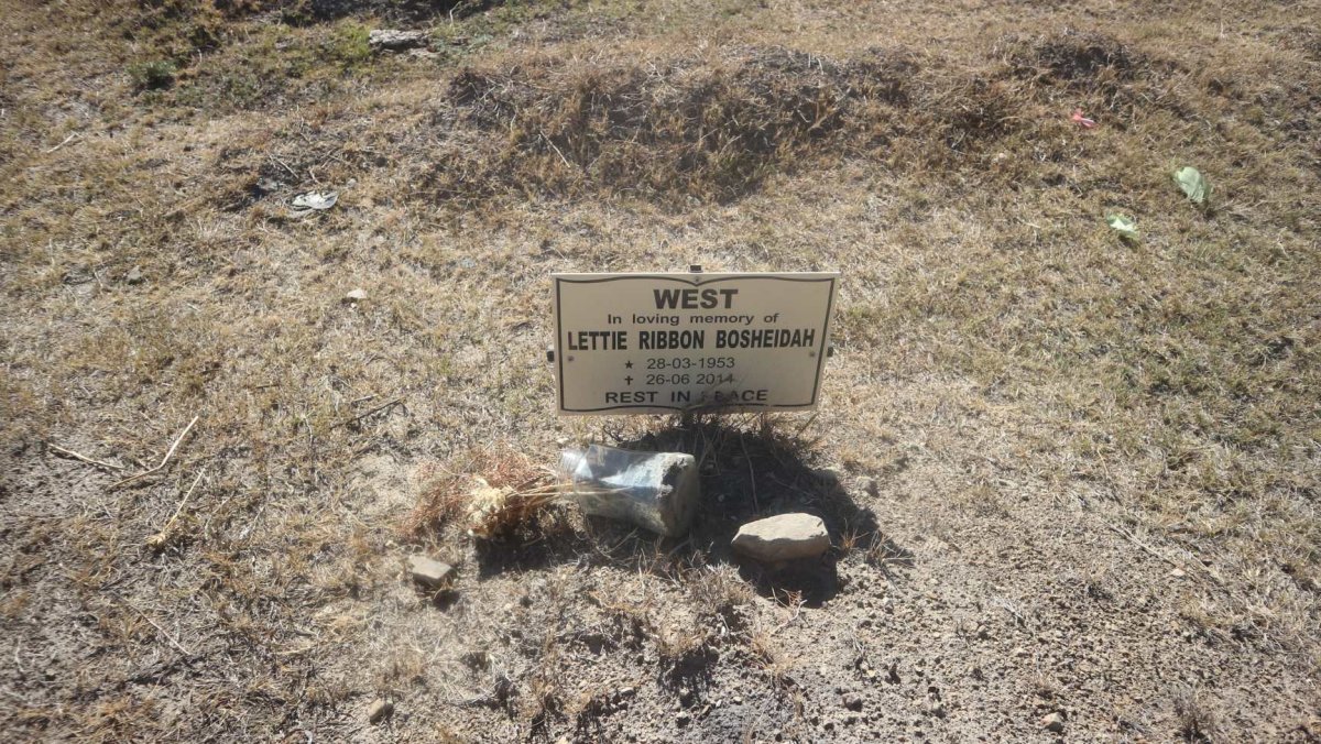 BOSHEIDAH Lettie Ribbon 1953-2014