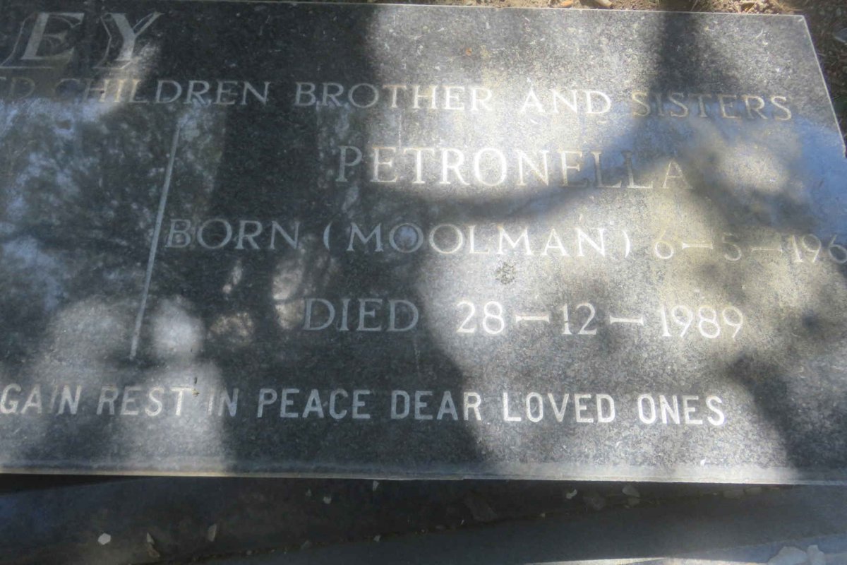 DERSLEY John Henry 1965-1989 &amp; Petronella MOOLMAN 19?5-1989 :: DERSLEY Lauren 1977-1989
