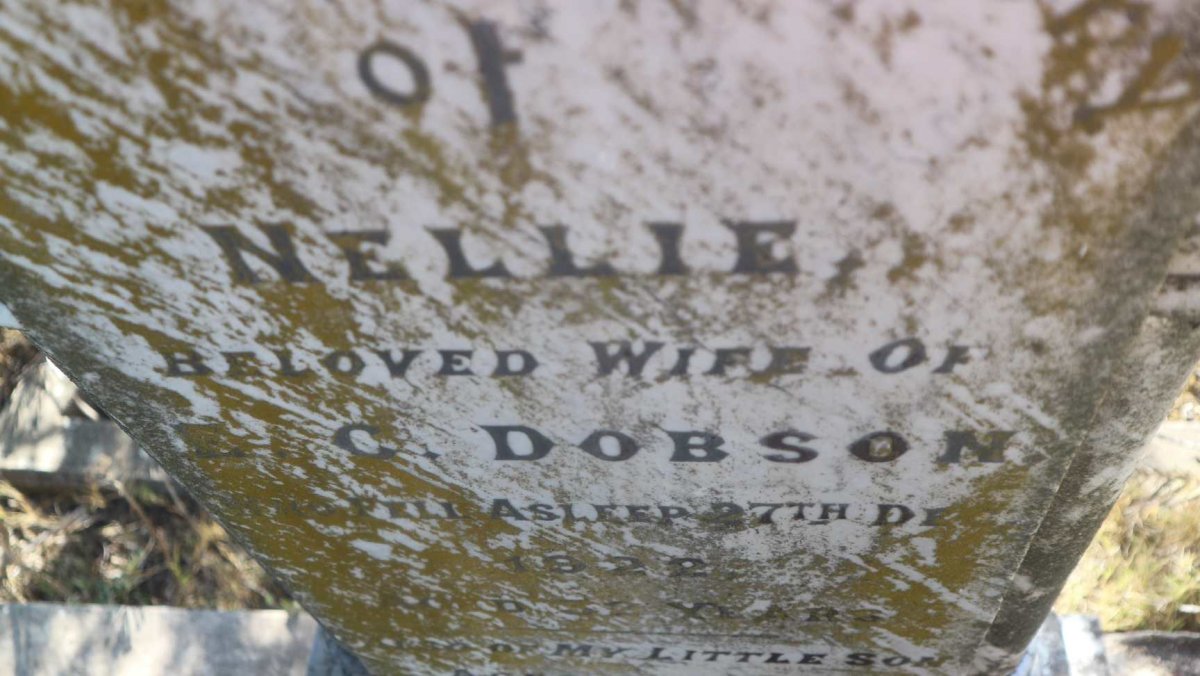 DOBSON Nellie -1922 :: DOBSON -1922
