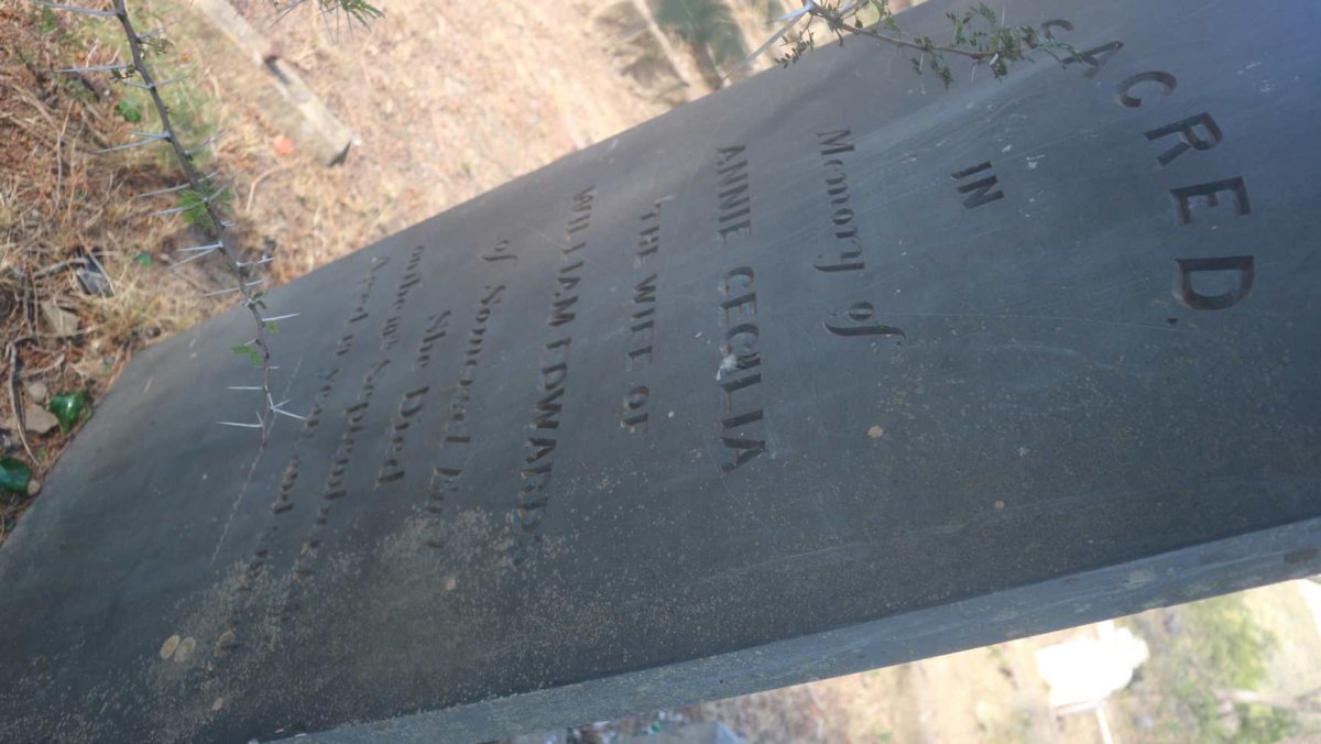 EDWARDS Annie Cecilia