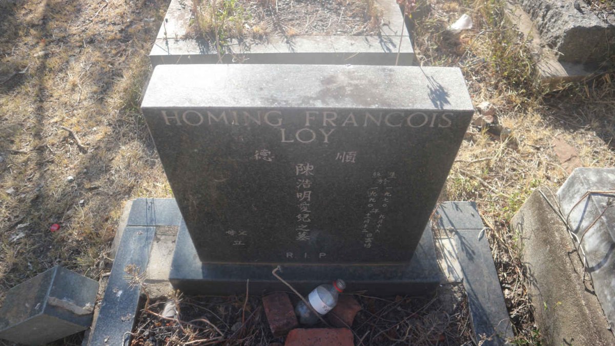 LOY Homing Francois