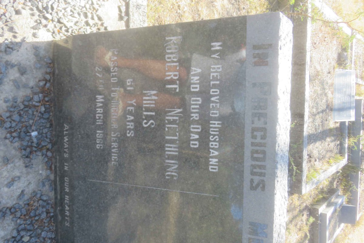 MILLS Robert Neethling -1966