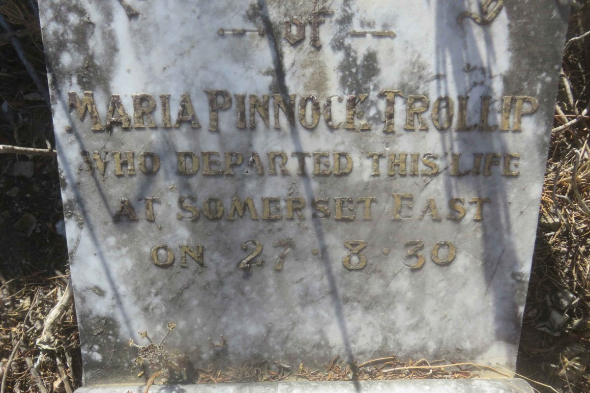 TROLLIP Maria Pinnoce -1930
