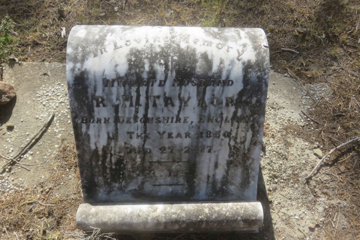 TAYLOR R.H. 1850-1927