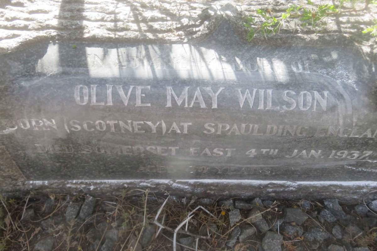 WILSON Olive May nee SCOTNEY -1937