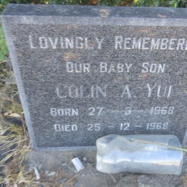 YUI Colin, AH 1968-1968