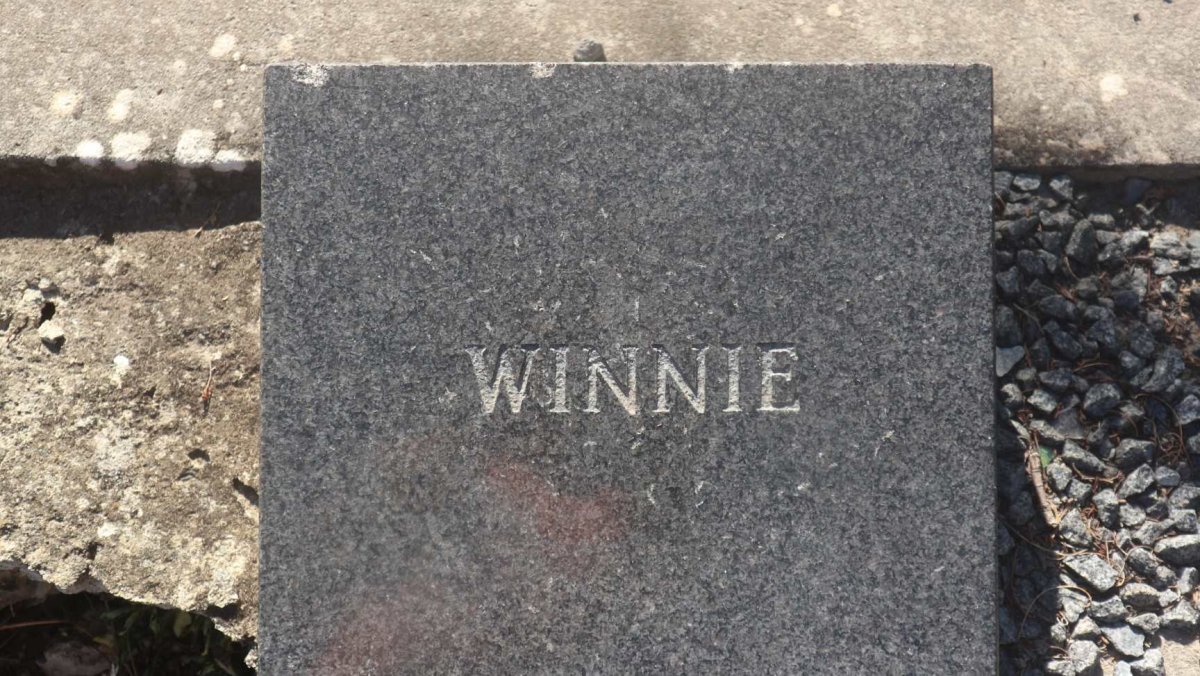 ? Winnie