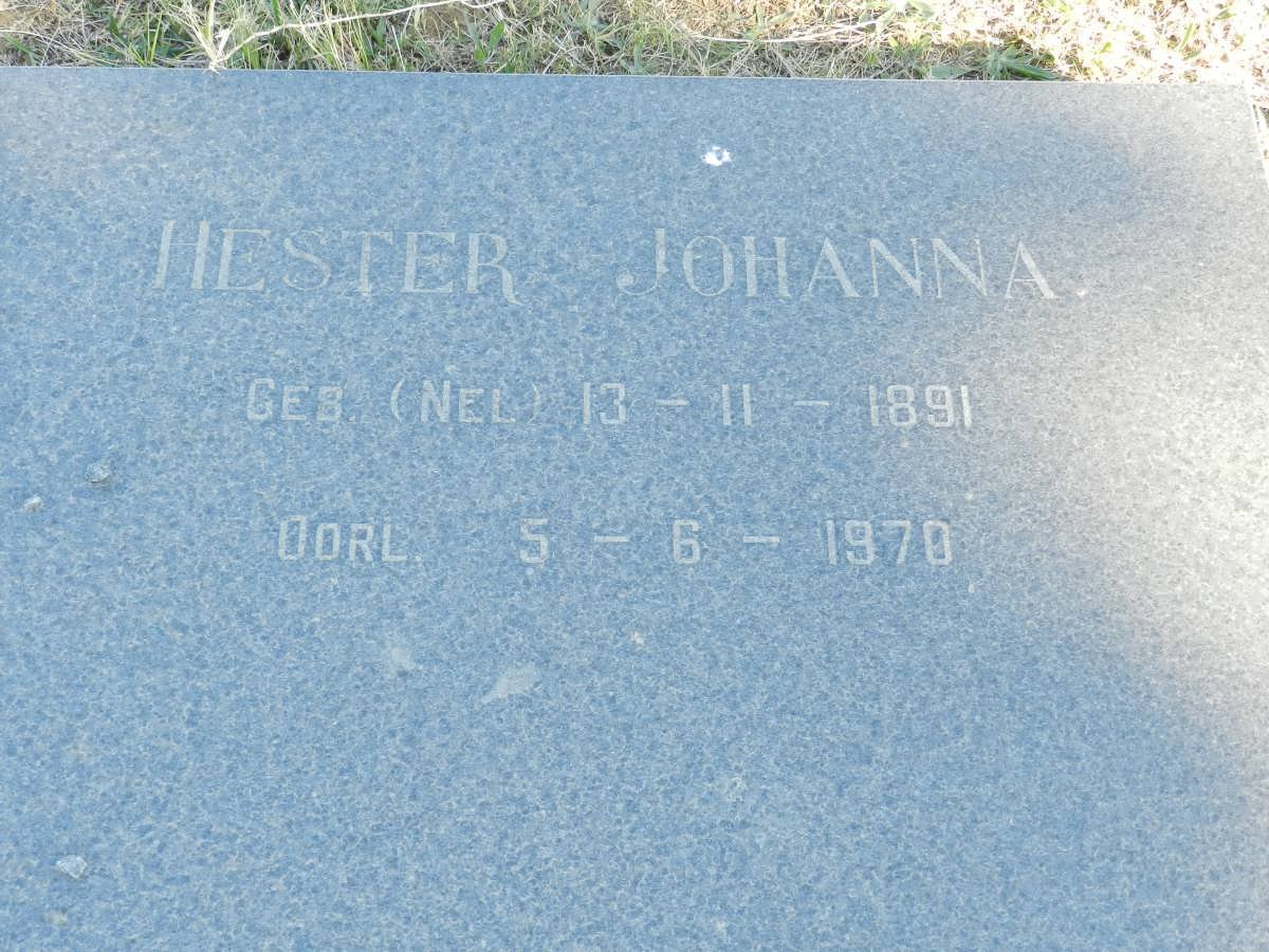 BOSCH Hester Johanna nee NEL 1891-1970