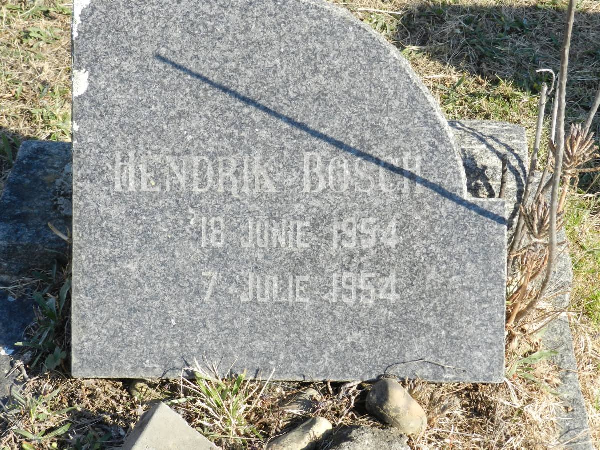 BOSCH Hendrik 1954-1954