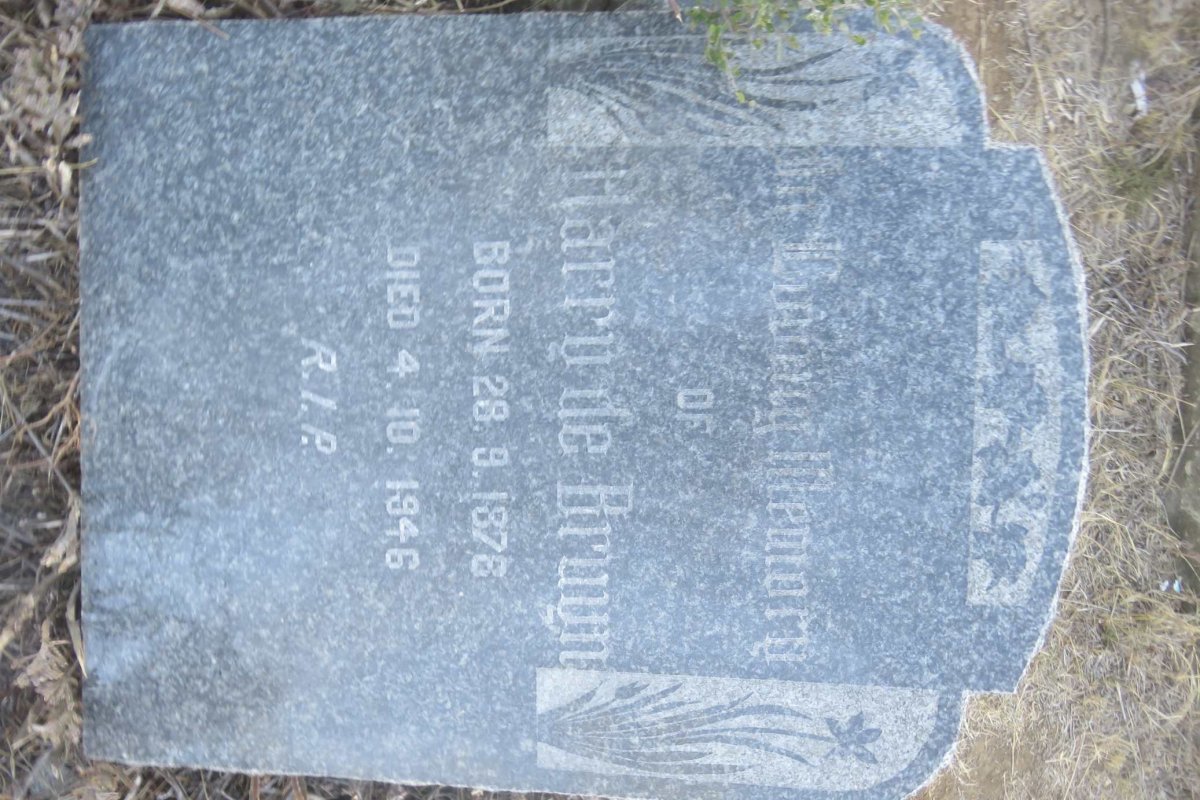 BRUYN Harry, de 1878-1946