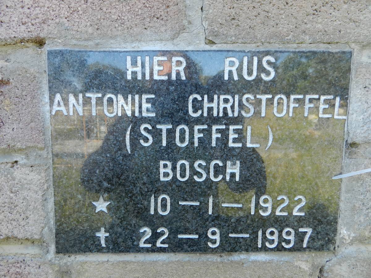 BOSCH Antonie Christoffel 1922-1997