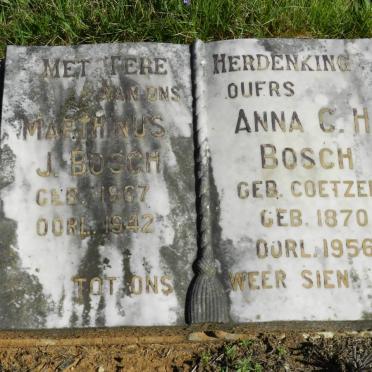 BOSCH Marthinus J. 1867-1942 &amp; Anna C.H. COETZER 1870-1956