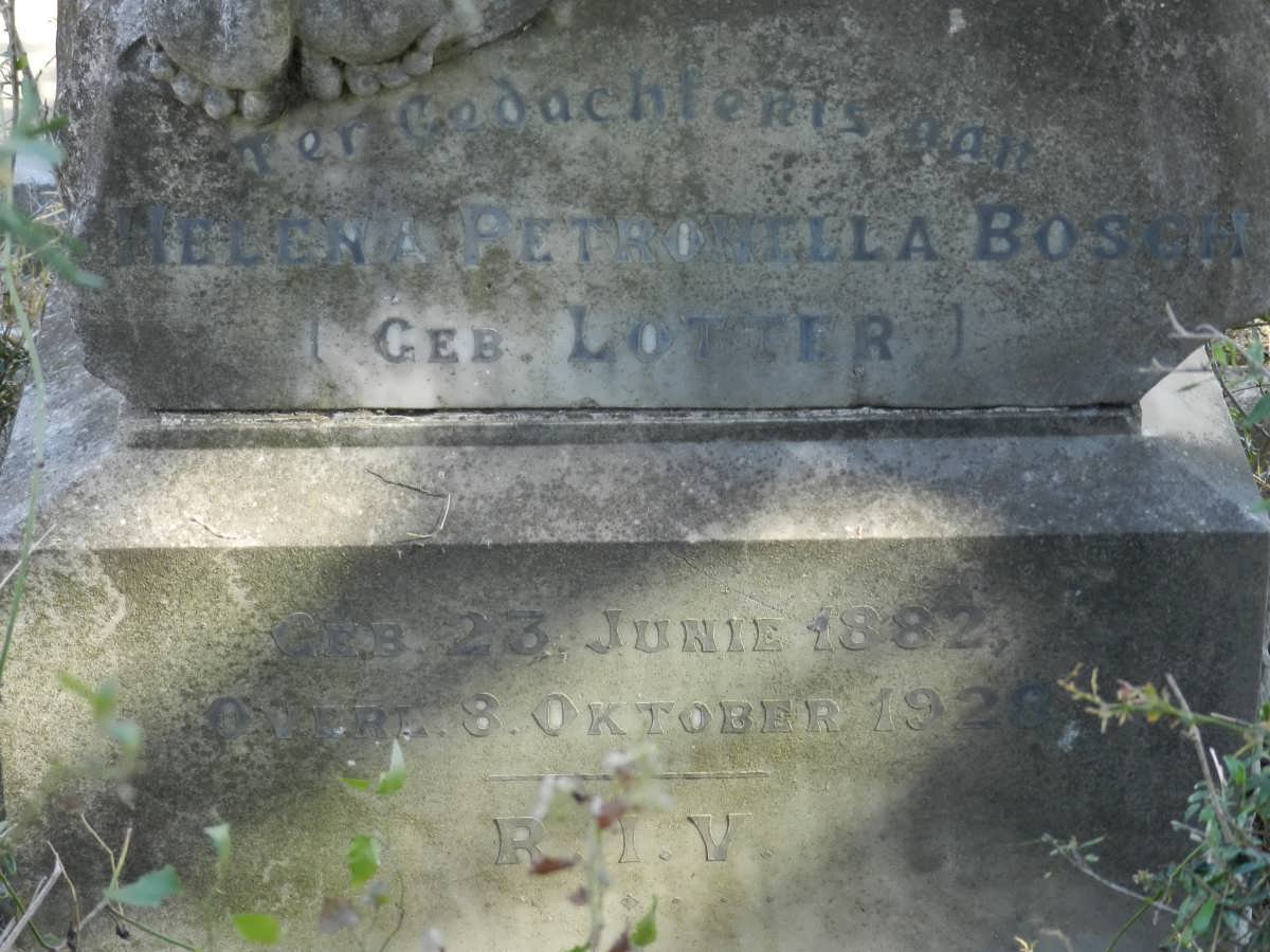 BOSCH Helena Petronella born LOTTER 1882-1928